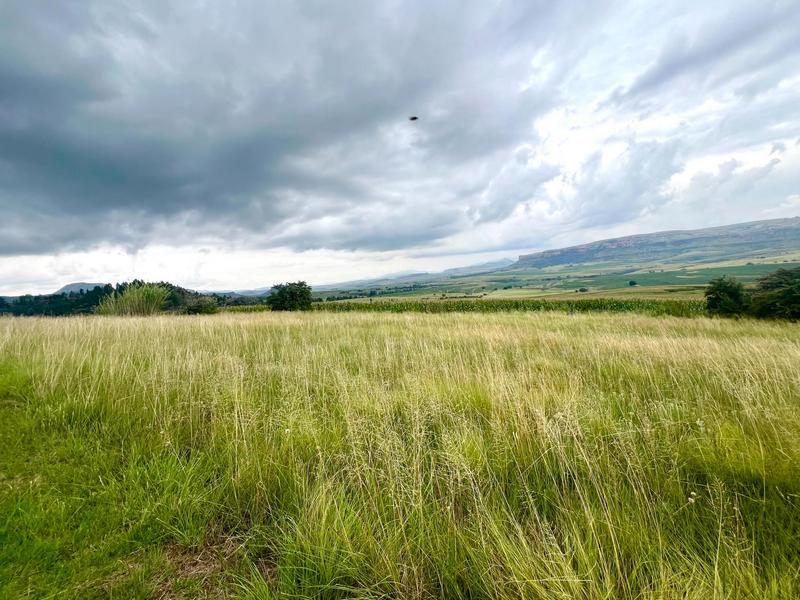 4 Bedroom Property for Sale in Fouriesburg Free State